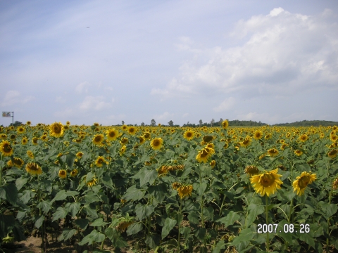 s_PICT0049.jpg